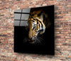 Tiger Glass Wall Art by Insigneart USA