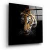Tiger Glass Wall Art by Insigneart USA