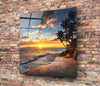 Palm Trees Glass Wall Art by Insigneart USA