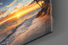 Palm Trees Glass Wall Art by Insigneart USA