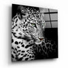Leopard Glass Wall Art by Insigneart USA