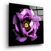 Floral Pink Glass Wall Art by Insigneart USA