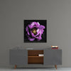 Floral Pink Glass Wall Art by Insigneart USA