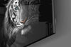 Tiger Glass Wall Art by Insigneart USA