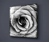 Rose Glass Wall Art by Insigneart USA