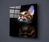 Kitten Glass Wall Art by Insigneart USA