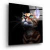 Kitten Glass Wall Art by Insigneart USA