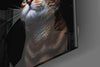 Kitten Glass Wall Art by Insigneart USA
