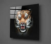 Tiger Glass Wall Art by Insigneart USA