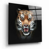 Tiger Glass Wall Art by Insigneart USA