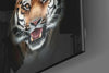 Tiger Glass Wall Art by Insigneart USA