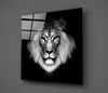 Lion Glass Wall Art by Insigneart USA