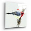 Red Bird Glass Wall Art by Insigneart USA