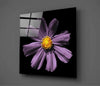 Pink Flower Glass Wall Art by Insigneart USA