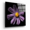 Pink Flower Glass Wall Art by Insigneart USA