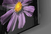 Pink Flower Glass Wall Art by Insigneart USA