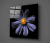 Purple Flower Glass Wall Art by Insigneart USA