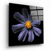 Purple Flower Glass Wall Art by Insigneart USA