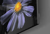 Purple Flower Glass Wall Art by Insigneart USA