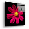 Red Flower Glass Wall Art by Insigneart USA