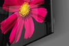 Red Flower Glass Wall Art by Insigneart USA