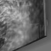 Wolf's Eye Glass Wall Art by Insigneart USA