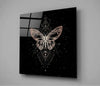 Da Vinci Style Butterfly Glass Wall Art by Insigneart USA