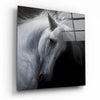 Horse Glass Wall Art by Insigneart USA