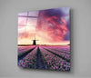 Tulip Field Glass Wall Art by Insigneart USA