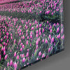 Tulip Field Glass Wall Art by Insigneart USA