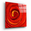 Cycle of Red Glass Wall Art by Insigneart USA