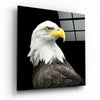 Eagle Glass Wall Art by Insigneart USA
