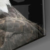 Eagle Glass Wall Art by Insigneart USA