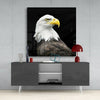 Eagle Glass Wall Art by Insigneart USA