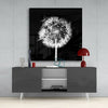 Dandelion Glass Wall Art by Insigneart USA