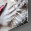 White Tiger Glass Wall Art by Insigneart USA