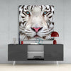 White Tiger Glass Wall Art by Insigneart USA