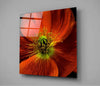 Flower Glass Wall Art by Insigneart USA