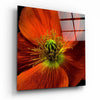 Flower Glass Wall Art by Insigneart USA