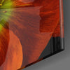Flower Glass Wall Art by Insigneart USA