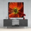 Flower Glass Wall Art by Insigneart USA