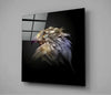 Falcon Glass Wall Art by Insigneart USA