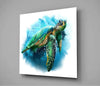 Caretta Caretta Glass Wall Art by Insigneart USA