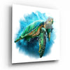 Caretta Caretta Glass Wall Art by Insigneart USA