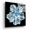 Flower Glass Wall Art by Insigneart USA