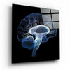 Brain Glass Wall Art by Insigneart USA