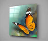 Butterfly Glass Wall Art by Insigneart USA