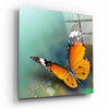 Butterfly Glass Wall Art by Insigneart USA
