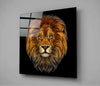 Lion Glass Wall Art by Insigneart USA