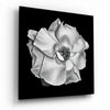 Flower Glass Wall Art by Insigneart USA